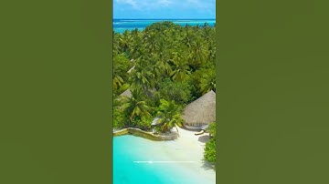 سورة الروم و،.كا؛.نك تسمعها لأ،.و.؛ل مر.ة💛🌸،؛💜🌼؛،💕؛.🏵️💟بصوت الشيخ حمزة مد،بو.ح 💕،.💓🧡🌺💐،.💜🌷💔