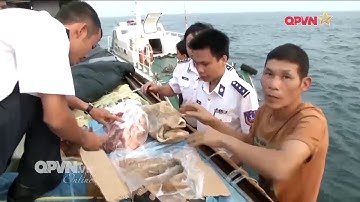 Vùng Cảnh sát biển 1 thực hiện tốt nhiệm vụ thực thi pháp luật