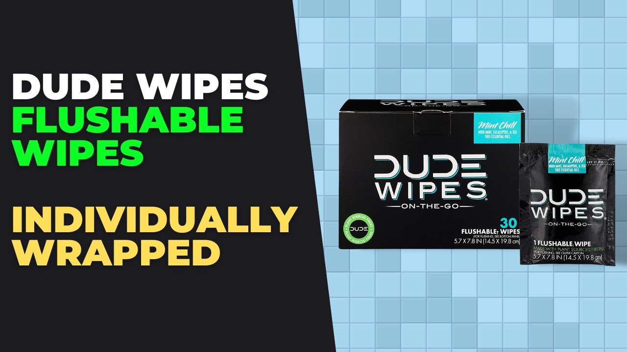 Flushable Moist Wipes Individually Wrapped on the Go Singles with Aloe and Vi... 
