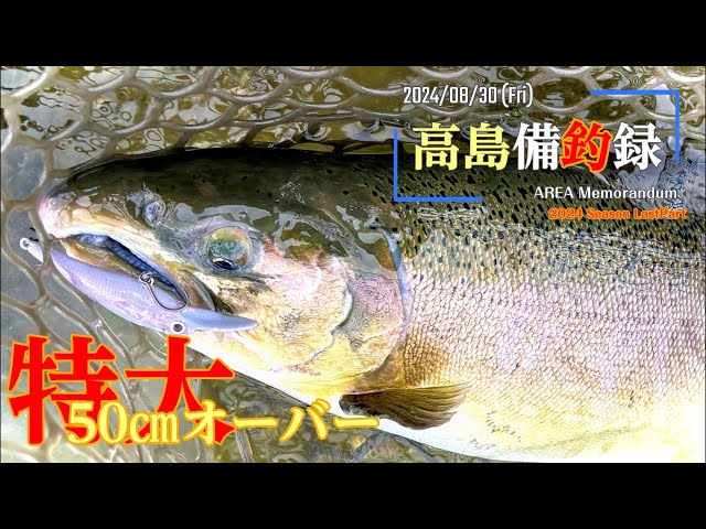 歌舞伎揚 、サクラマス、エリアトラウト、色々まとめ売り‼️ サクラマス72cm♂赤川モンスター - YouTube