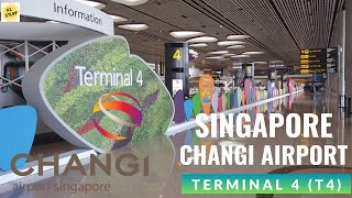 Singapore Changi Airport Terminal 4 ✈✈✈✈| Walk Around Main Terminal Building