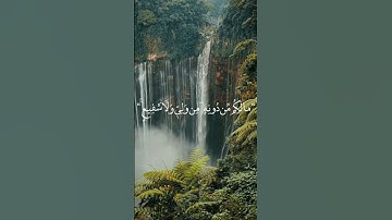تلاوة خاشعة مؤثرة للشيخ عبدالرحمن مسعد -  سورة السجدة