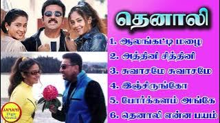 Thenali (தெனாலி) Kamal Hassan Super Hit Songs High Quality Mp3-2023