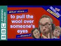 What does 'to pull the wool over someone's eyes' mean?