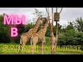 Зоопарк Тулузы САФАРИ  Toulouse Zoo SAFARI