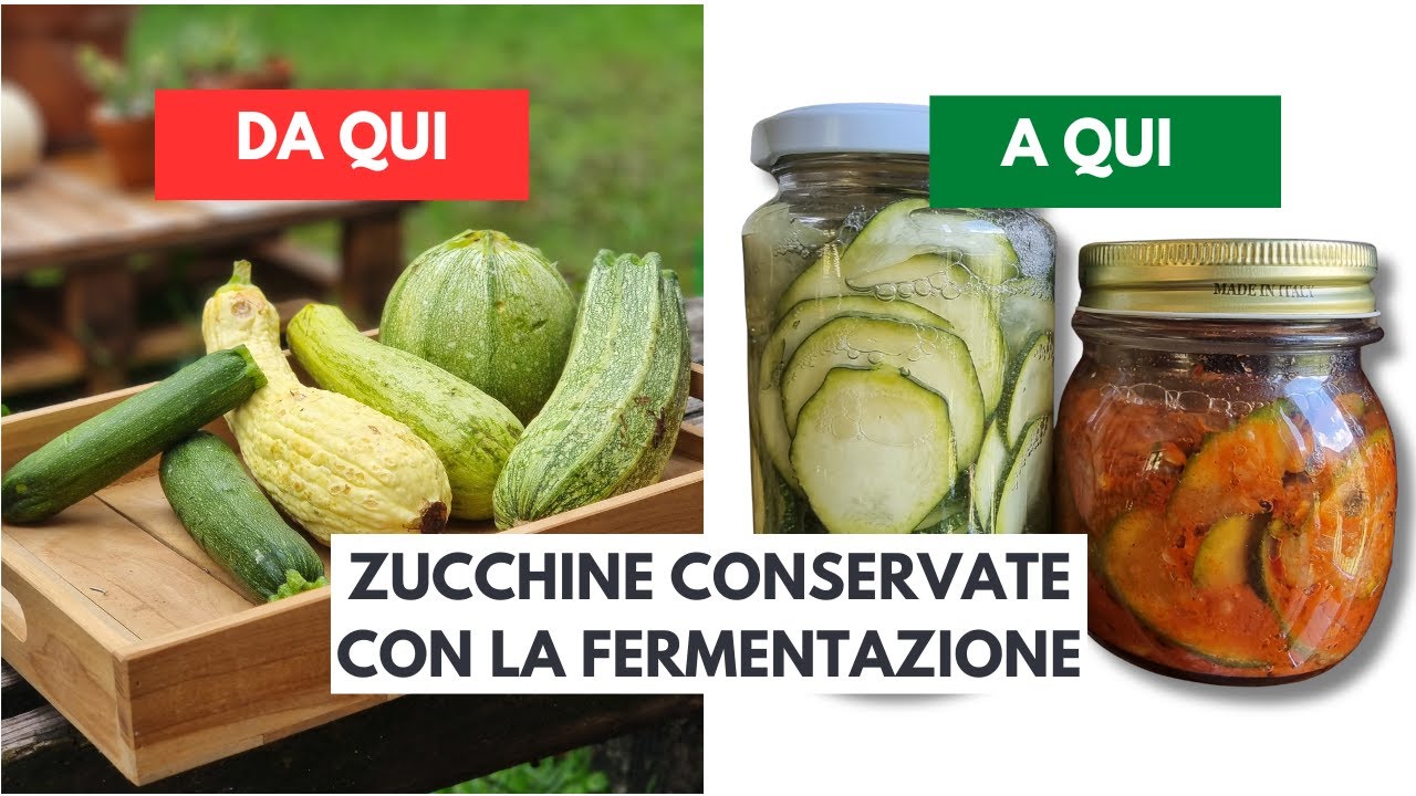 Conservare le zucchine con la fermentazione: due ricette da provare! 