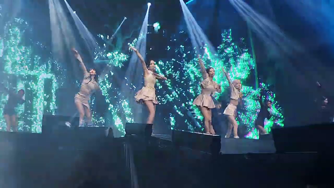 BlackPink in Houston 2nd show song How You Like That