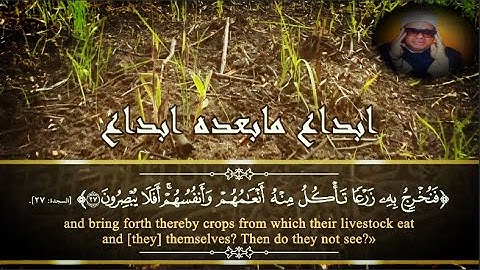 قمة الابداع في تلاوة للشيخ عنتر من سورة السجدة والاحزاب 🌼💯