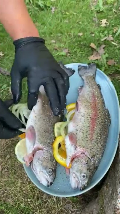 Grilled Rainbow Trout over fire - outdoor cooking