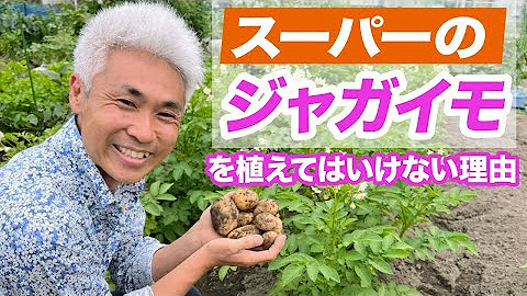 古屋悟司 Youtube