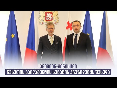 პრემიერ-მინისტრი ჩეხეთის პარლამენტის სენატის პრეზიდენტს შეხვდა