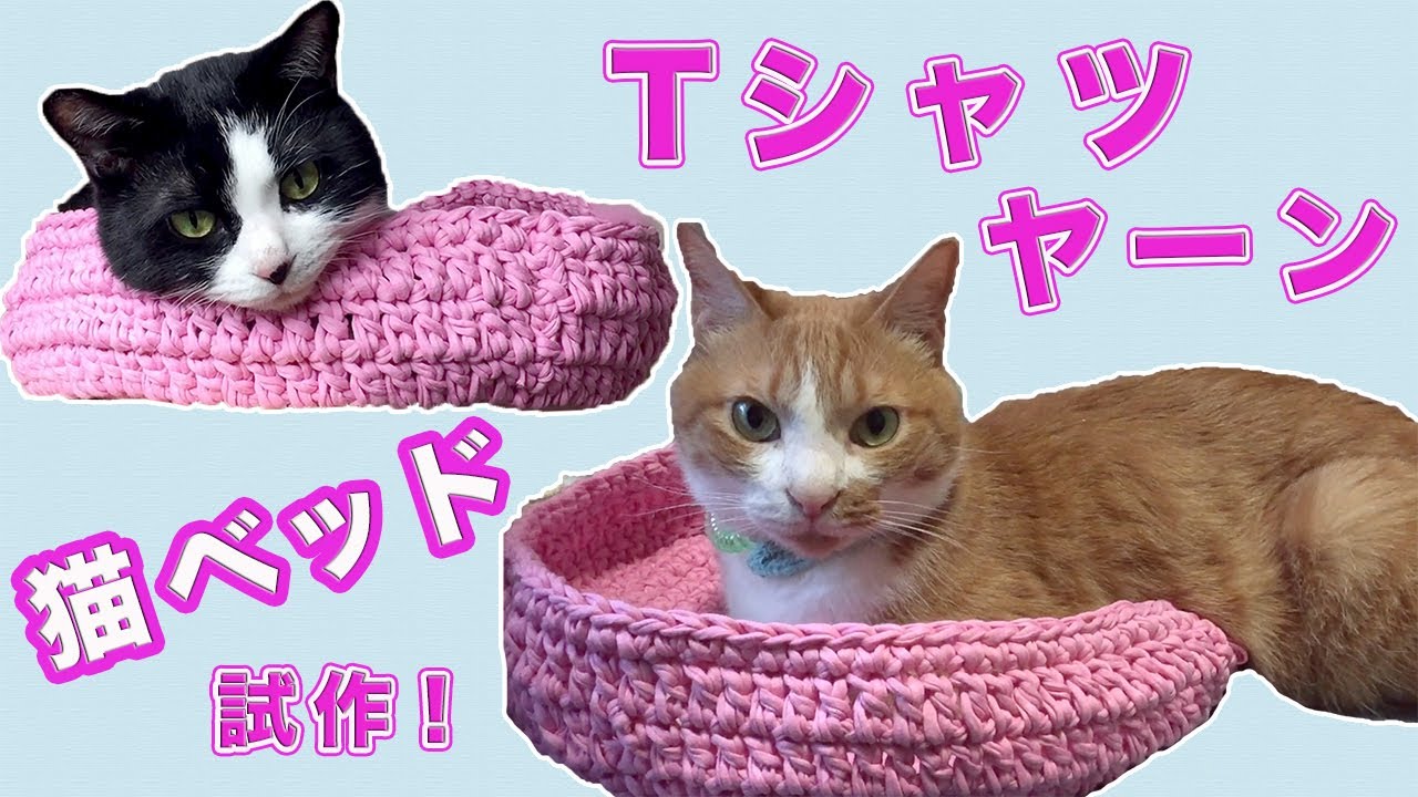 かわいい猫ベッド自作してみた 2匹の猫の反応は Tシャツヤーン かわいい猫動画 いやされる猫動画まとめ