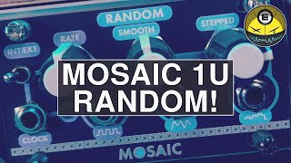 Famous Mosaic 1u - Random for CREATIVE MAYHEM! Net Worth