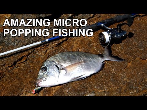 Σαργοί και μελανούρια με το 3D Minnow popper της Savage Gear! "Ελληνικοί υπότιτλοι"