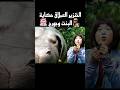 الخنزير العملاق حكاية البنت وجورج 