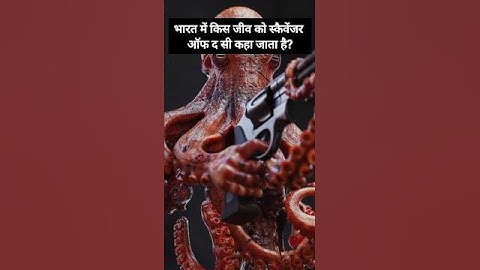 GK Top 10 Questions 🚨 | GK Quiz | GK In Hindi | GK Questions and Answers | #gk #gkfacts #gkquiz