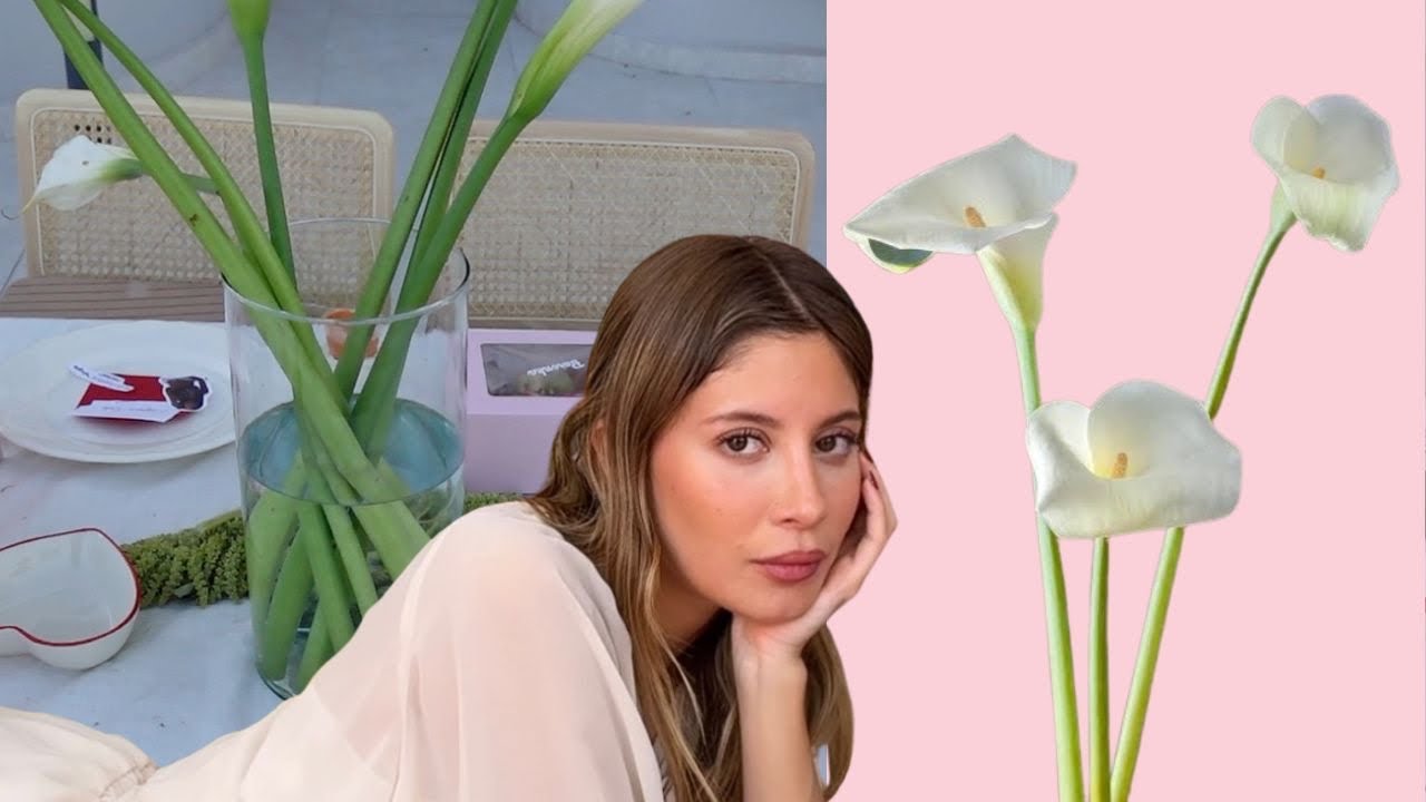 Celebrando la amistad porque no tuve de otra (valentines vlog)