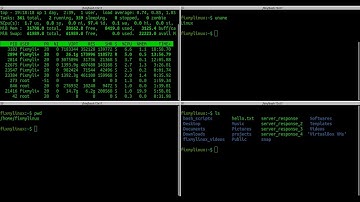 Top 20 Basic Linux Commands You Must Know (Beginner Tutorial)