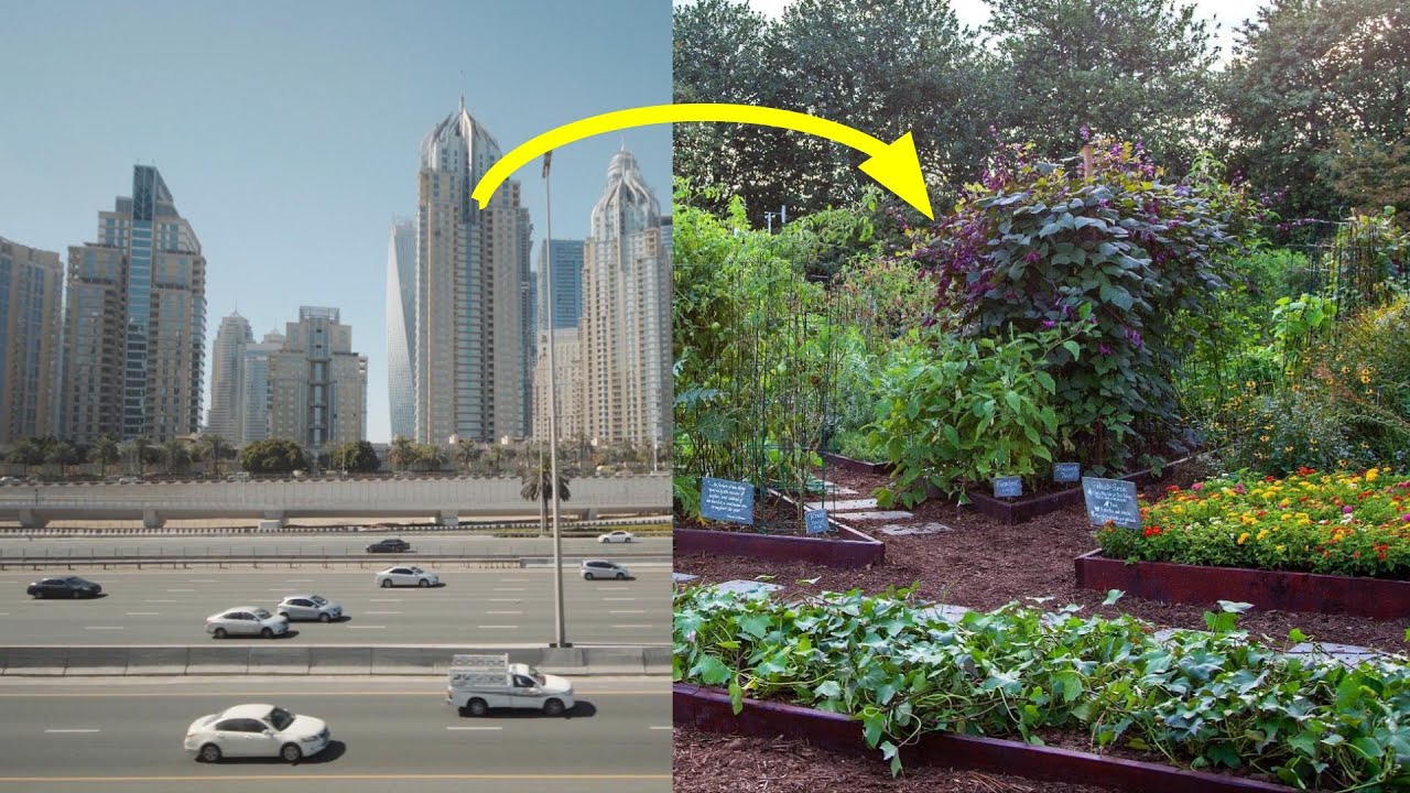 8 Benefits of Urban Farming. Episode 96