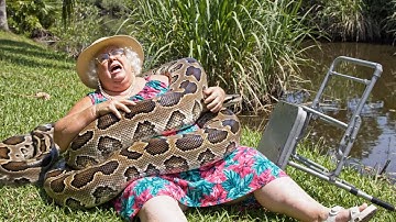 Miracle Rescue: GIANT Python Swallows 330lb Woman Whole!