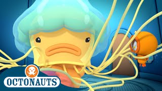 Octonauts - The Lion's Mane Jellyfish | Cartoons for Kids | Underwater Sea Education