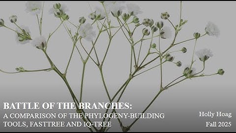 Battle of the Branches:​ A comparison of the Phylogeny-building tools, FASTTREE and IQ-TREE