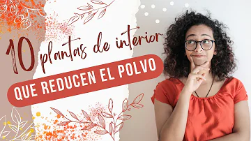 ¿Qué reduce el polvo en el aire?