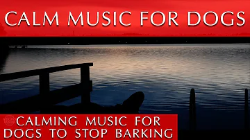 Calming Music for Dogs to Stop Barking | Quiet Time