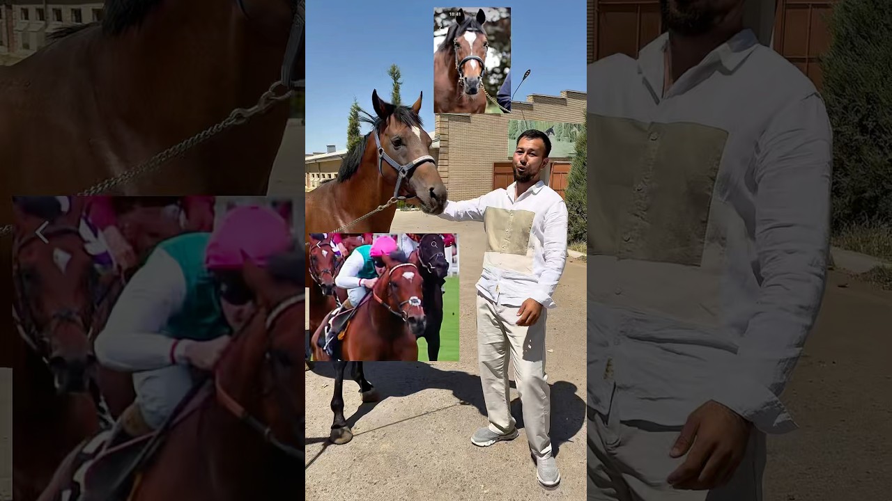 Dunyodagi eng qimmat ot Francelni ukasi O’zbekistonda