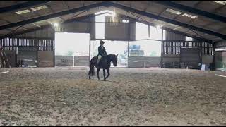 Melissa Masters and Florries Angel- E-Riders- January 2026- Main arena intro 1c 
