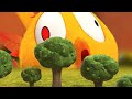 The forest  wheres chicky  cartoon collection in english for kids  new episodes