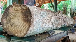 double profits! teak wood sawing process for making frame materials at a sawmill