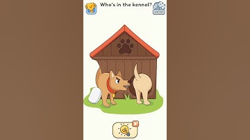 HOW TO BEAT LEVEL 240 IN DOP 5#trending #gaming #mummy #catrunner #forkids #funny