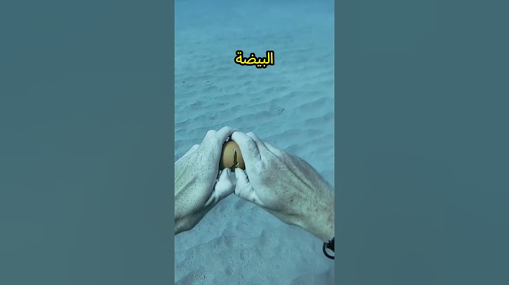 مفاجأة مذهلة في أعماق البحر!  #shorts