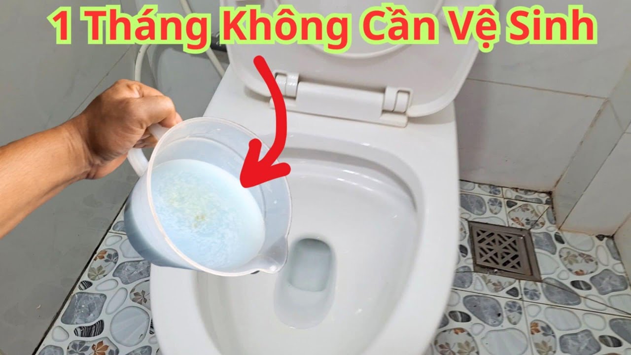 Cho thứ này vào vào bồn cầu sạch bóng cả tháng không cần phải vệ sinh hàng ngày mà vẫn thơm