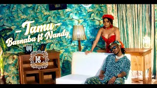 Barnaba feat Nandy - Tamu (Official Music Video) screenshot 3