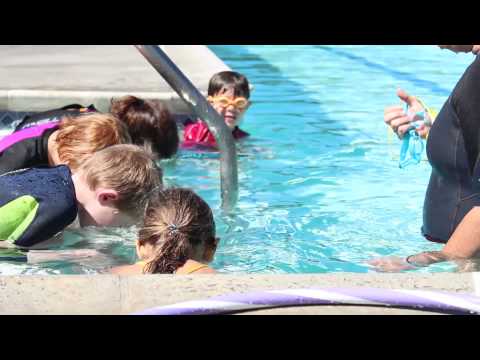 video:Seahorse Swim School - Explanation of Levels