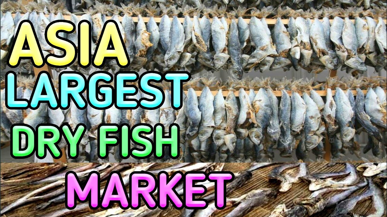 Jagiroad Dry Fish wholesale market assam india YouTube