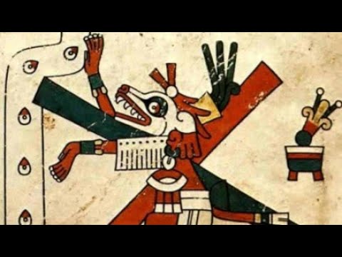 Video: Het die Mayans chihuahuas gehad?