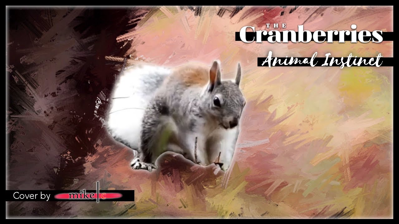 The Cranberries "Animal Instinct" | GarageBand-Cover | Lyric Video