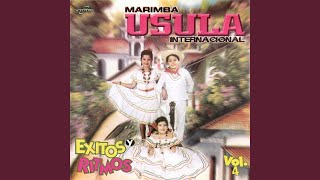 Boleros Usula # 2: Amapola / Historia de un Amor / Bésame Mucho / Amor Amor Amor / Gema / En Mi...