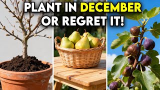 10 Fruit Trees You Must Plant in December For  Extremly Fast Growth