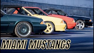Miami Mustang Club's Extraordinary Built Foxbody Mustangs: A Closer Look