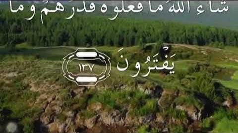 الجزء الثامن كاملا من القرآن الكريم (اواخر سورة الانعام واوائل سورة الاعراف )