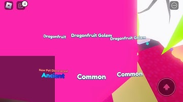 I hatched Dragonfruit (Season 8 Ancient) | Mining Simulator 2