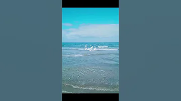 محبوبتي مغرورة لا تهزم لا تنحني اكسبلور 