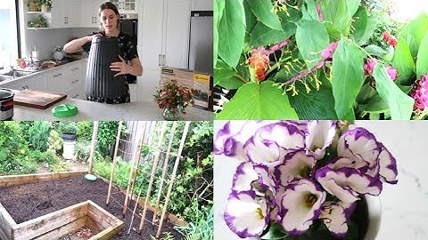 Starting My Composting Journey with a Worm Buffet 🪱🌱 Composting for Beginners | Lets Learn together