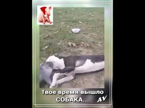 А кому щас легко? - YouTube