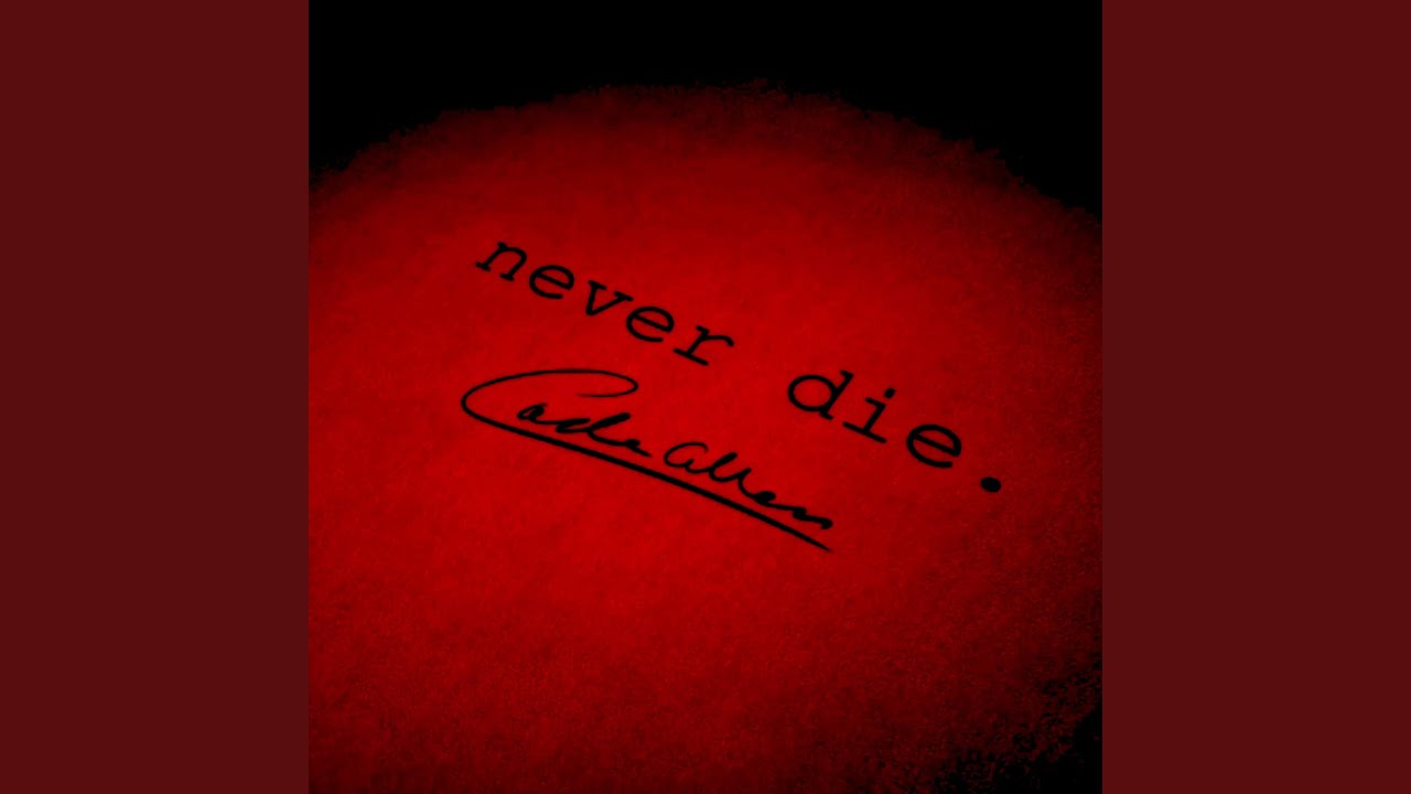 What You're Looking For