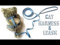 How to Make an Adjustable Cat Harness and Leash Out of Old Jeans